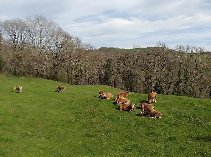 Tatil Evi Location Insolite Dans Un Four A Pain *